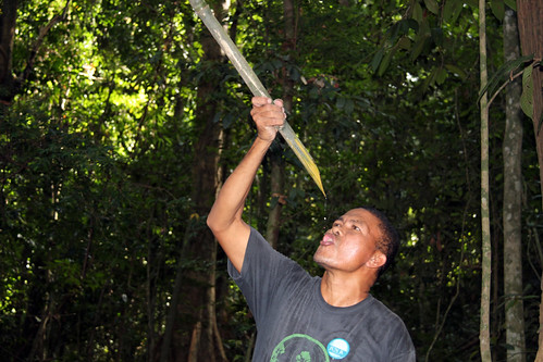 drinking water from bamboo by Hungarian Snow, on Flickr